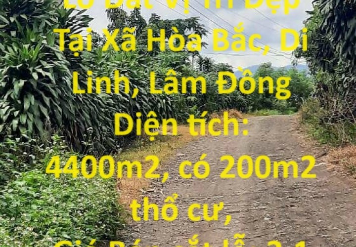 Đất Đẹp - Giá Tốt - Chính Chủ Cần Bán Lô Đất Vị Trí Đẹp Tại Xã Hòa Bắc, Di Linh, Lâm Đồng
