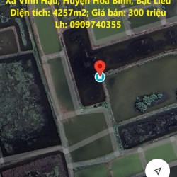 HẠ GIÁ BÁN GẤP Đất Nông Nghiệp Tại Xã Vĩnh Hậu, Huyện Hòa Bình, Bạc Liêu