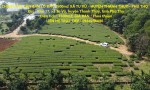 CHÍNH CHỦ CẦN BÁN LÔ ĐẤT 7500m2 XÃ TU VŨ - HUYỆN THANH THUỶ - PHÚ THỌ