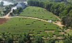 CHÍNH CHỦ CẦN BÁN LÔ ĐẤT 7500m2 XÃ TU VŨ - HUYỆN THANH THUỶ - PHÚ THỌ