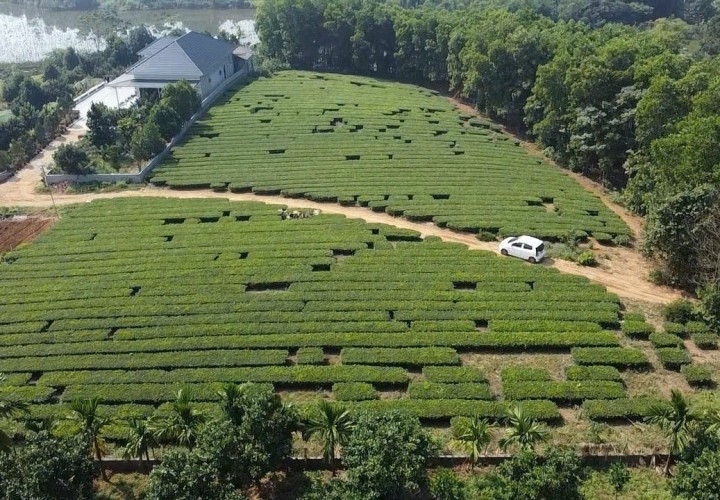 CHÍNH CHỦ CẦN BÁN LÔ ĐẤT 7500m2 XÃ TU VŨ - HUYỆN THANH THUỶ - PHÚ THỌ