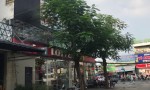 CHỦ NGỘP BANK !!! CẦN BÁN TRƯỚC TẾT CHỈ 9 TỶ (TL) Sở Hữu Ngay Lô Đất ngay sát Đỗ Xuân Hợp