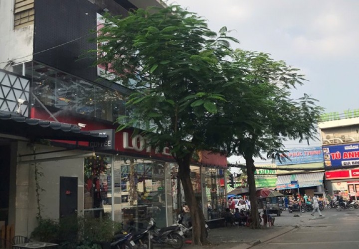 CHỦ NGỘP BANK !!! CẦN BÁN TRƯỚC TẾT CHỈ 9 TỶ (TL) Sở Hữu Ngay Lô Đất ngay sát Đỗ Xuân Hợp