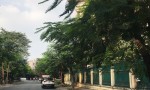 CHỦ NGỘP BANK !!! CẦN BÁN TRƯỚC TẾT CHỈ 9 TỶ (TL) Sở Hữu Ngay Lô Đất ngay sát Đỗ Xuân Hợp