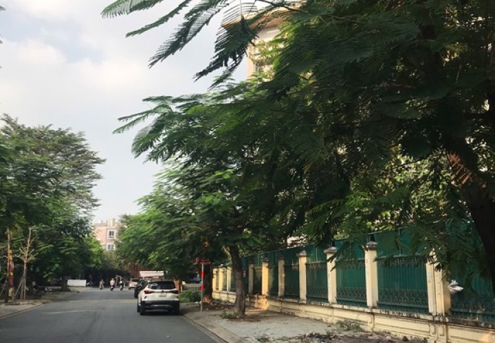 CHỦ NGỘP BANK !!! CẦN BÁN TRƯỚC TẾT CHỈ 9 TỶ (TL) Sở Hữu Ngay Lô Đất ngay sát Đỗ Xuân Hợp