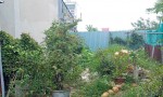 CHÍNH CHỦ Cần Bán Nhanh Lô Đất Vị Trí Tại ấp 5A, xã Vĩnh Lộc A, huyện Bình Chánh, HCM