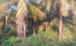 ĐẤT ĐẸP - GIÁ TỐT - CHÍNH CHỦ BÁN NHANH lô đất tại xã TRÀ CÔN - huyện TRÀ ÔN - VĨNH LONG
