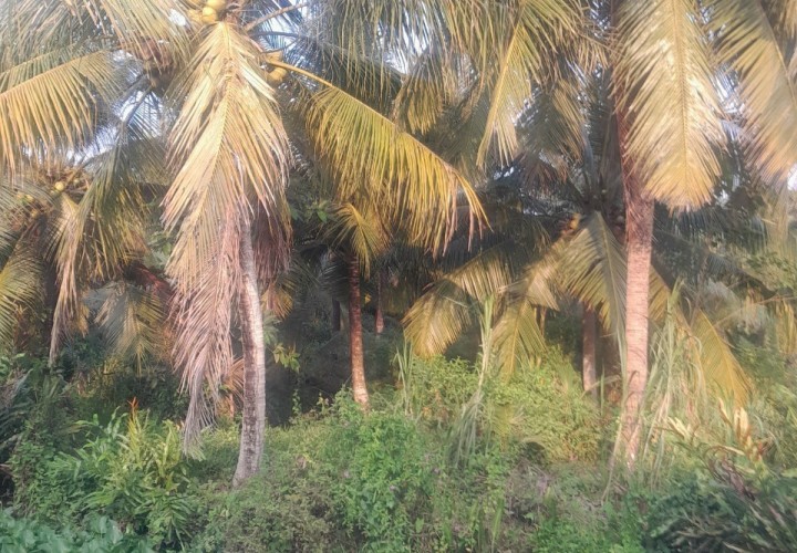 ĐẤT ĐẸP - GIÁ TỐT - CHÍNH CHỦ BÁN NHANH lô đất tại xã TRÀ CÔN - huyện TRÀ ÔN - VĨNH LONG