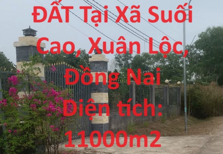 Cần Bán LÔ ĐẤT Tại Xã Suối Cao, Xuân Lộc, Đồng Nai