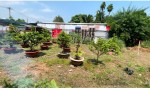 Chính chủ cần bán nhanh Lô Đất Vị trí Đẹp tại xã Bình Mỹ, huyện Củ Chi, TPHCM.