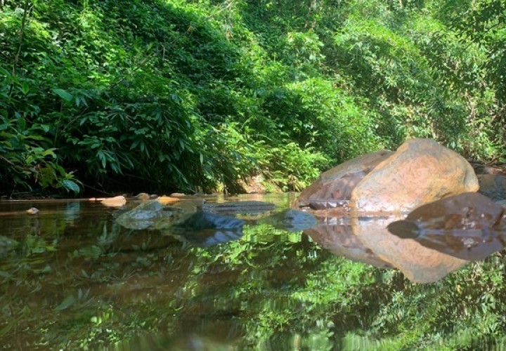 CHÍNH CHỦ Cần Bán Lô Đất Trồng Điều Và Cao Su Tại Phú Tín - Phú Trung - Phú Riềng - Bình Phước