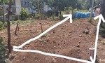 ĐẤT ĐẸP – GIÁ TỐT - CHÍNH CHỦ CẦN BÁN LÔ ĐẤT Tại Thị Trấn Ea Pốk, Huyện Cư M'gar, Đắk Lắk