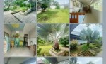 NHÀ ĐẸP - GIÁ TỐT CẦN BÁN NHANH NHÀ VƯỜN Tại Xã Bình Phú Thành Phố Bến Tre