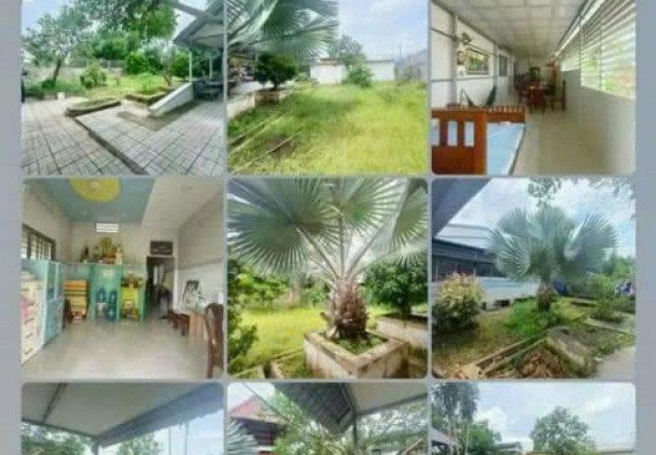 NHÀ ĐẸP - GIÁ TỐT CẦN BÁN NHANH NHÀ VƯỜN Tại Xã Bình Phú Thành Phố Bến Tre