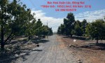 ĐẤT ĐẸP – GIÁ TỐT - CẦN BÁN LÔ ĐẤT tại  Xã Bảo Hoà Xuân Lộc, Đồng Nai