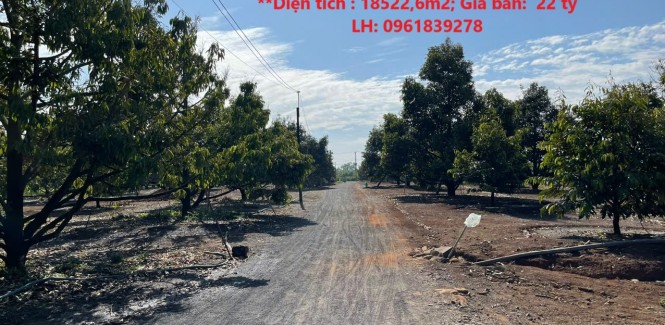 ĐẤT ĐẸP – GIÁ TỐT - CẦN BÁN LÔ ĐẤT tại Xã Bảo Hoà Xuân Lộc, Đồng Nai