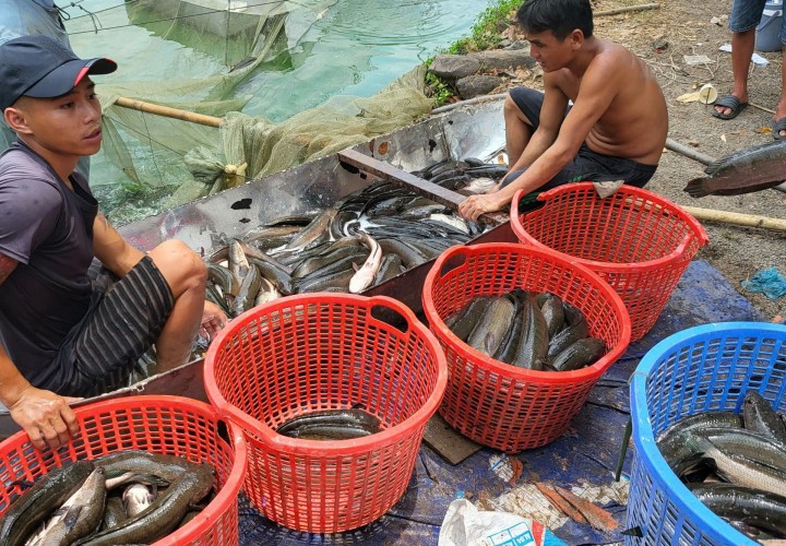 ĐẤT ĐẸP – GIÁ TỐT - CẦN BÁN LÔ ĐẤT tại  Xã Bảo Hoà Xuân Lộc, Đồng Nai