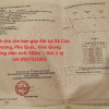 Chính chủ cần bán gấp đất tại Xã Cửa Dương, Phú Quốc, Kiên Giang.
