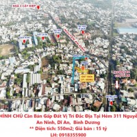 CHÍNH CHỦ Cần Bán Gấp Đất Vị Trí Đắc Địa Tại Hẻm 311 Nguyễn An Ninh, Dĩ An,  Bình Dương
