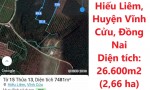 Chính Chủ Cần Bán GẤP 2,66 Ha Đất Xã Tại Hiếu Liêm, Huyện Vĩnh Cửu, Đồng Nai