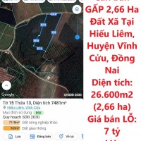 Chính Chủ Cần Bán GẤP 2,66 Ha Đất Xã Tại Hiếu Liêm, Huyện Vĩnh Cửu, Đồng Nai