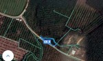 Chính Chủ Cần Bán GẤP 2,66 Ha Đất Xã Tại Hiếu Liêm, Huyện Vĩnh Cửu, Đồng Nai