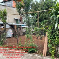 ĐẤT CHÍNH CHỦ- CẦN BÁN NHANH LÔ ĐẤT Tại Phường 1, TP Bảo Lộc, Lâm Đồng