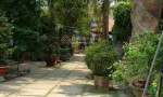 CHÍNH CHỦ Cần bán nhà sân vườn kết hợp quán ăn, quán cà phê tại xã Tân Bình, Vĩnh Cửu, Đồng Nai