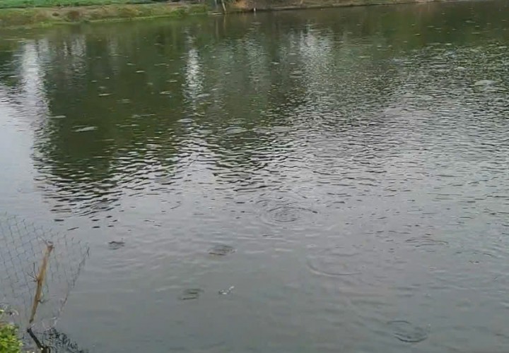 CHÍNH CHỦ CẦN BÁN LÔ ĐẤT SIÊU ĐẸP  Xã Bảo Hoà, Huyện  Xuân Lộc, Đồng Nai