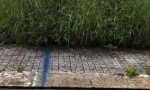 CHÍNH CHỦ CẦN BÁN GẤP Đất Tại Xã Hàng Gòn, Thành phố Long Khánh, Đồng Nai