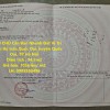 CHÍNH CHỦ Cần Bán Nhanh Đất Vị Trí Đẹp Tại huyện Quốc Oai, TP Hà Nội