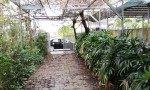 CHÍNH CHỦ Cần Bán Nhà Vườn Tại Phường Điện Nam Đông, Thị Xã Điện Bàn, Quảng Nam.