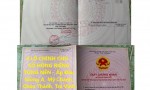 6 LÔ CHÍNH CHỦ - SỔ HỒNG RIÊNG TỪNG NỀN - Ấp Đầu Giồng A, Mỹ Chánh, Châu Thành, Trà Vinh