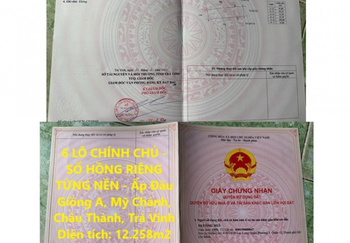 6 LÔ CHÍNH CHỦ - SỔ HỒNG RIÊNG TỪNG NỀN - Ấp Đầu Giồng A, Mỹ Chánh, Châu Thành, Trà Vinh