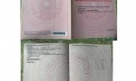 6 LÔ CHÍNH CHỦ - SỔ HỒNG RIÊNG TỪNG NỀN - Ấp Đầu Giồng A, Mỹ Chánh, Châu Thành, Trà Vinh