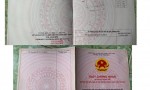 6 LÔ CHÍNH CHỦ - SỔ HỒNG RIÊNG TỪNG NỀN - Ấp Đầu Giồng A, Mỹ Chánh, Châu Thành, Trà Vinh