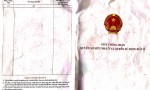 NHÀ CHÍNH CHỦ- GIÁ ĐẦU TƯ sở hữu ngay căn nhà vị trí tại quận Tân Phú  TPHCM