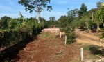 CHÍNH CHỦ Cần Bán Nhanh Đất Mặt Tiền Đường Nhựa Tại Xã Đá Bạc, Châu Đức, Bà Rịa Vũng Tàu
