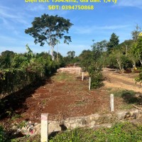 CHÍNH CHỦ Cần Bán Nhanh Đất Mặt Tiền Đường Nhựa Tại Xã Đá Bạc, Châu Đức, Bà Rịa Vũng Tàu