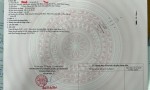NHÀ ĐẸP - GIÁ TỐT - CHÍNH CHỦ CẦN BÁN NHANH NHÀ Tại Tân Phước - Tân Bình - Dĩ An - Bình Dương