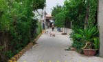 Nhà đẹp- giá tốt cần bán nhanh căn nhà vị trí đẹp tại Tp thủ Đức, TPHCM