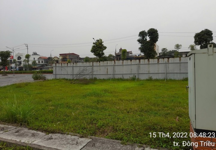 ĐẤT CHÍNH CHỦ - SỔ HỒNG RIÊNG - Bán Đất Phường Mạo Khê, TX Đông Triều, Quảng Ninh