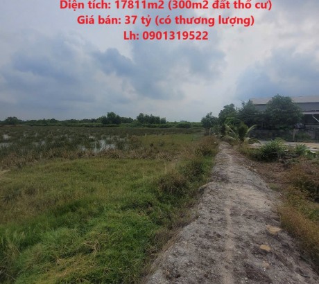 ĐẤT CHÍNH CHỦ - GIÁ TỐT - Cần Bán Lô Đất Vị Trí Đắc Địa Tại An Thới Đông, Huyện Cần Giờ, TP HCM