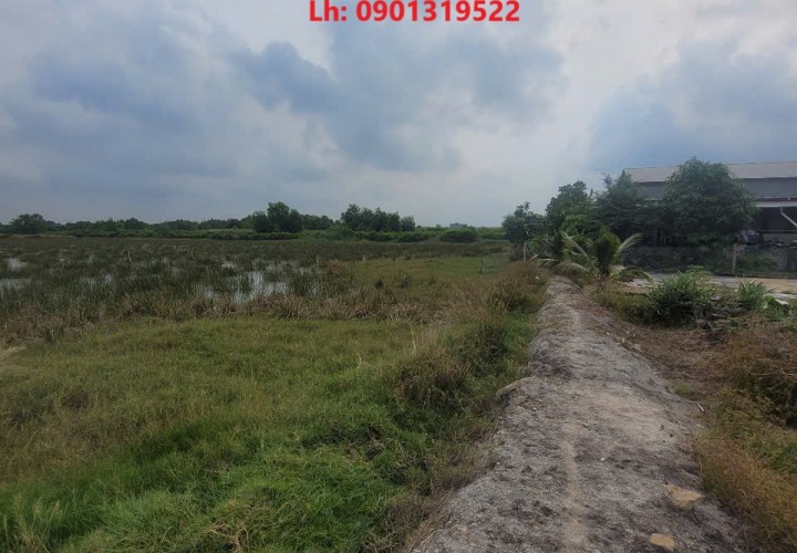 ĐẤT CHÍNH CHỦ - GIÁ TỐT - Cần Bán Lô Đất Vị Trí Đắc Địa Tại An Thới Đông, Huyện Cần Giờ, TP HCM