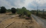ĐẤT CHÍNH CHỦ - GIÁ TỐT - Cần Bán Lô Đất Vị Trí Đắc Địa Tại An Thới Đông, Huyện Cần Giờ, TP HCM