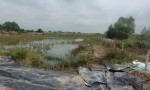 ĐẤT CHÍNH CHỦ - GIÁ TỐT - Cần Bán Lô Đất Vị Trí Đắc Địa Tại An Thới Đông, Huyện Cần Giờ, TP HCM