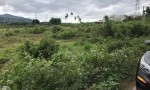 CHÍNH CHỦ BÁN ĐẤT MẶT ĐƯỜNG  TẠI xã Diên Thọ, Diên Khánh, Khánh Hòa