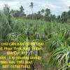 CHÍNH CHỦ CẦN BÁN LÔ ĐẤT TẠI Hàm Mỹ, Phan Thiết, Bình Thuận - GIÁ CỰC RẺ