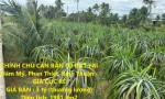 CHÍNH CHỦ CẦN BÁN LÔ ĐẤT TẠI Hàm Mỹ, Phan Thiết, Bình Thuận - GIÁ CỰC RẺ