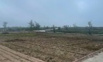 CHÍNH CHỦ Cần Bán Lô Đất Sát Biển Tại Xã Giao Phong, Huyện Giao Thủy, Nam Định.